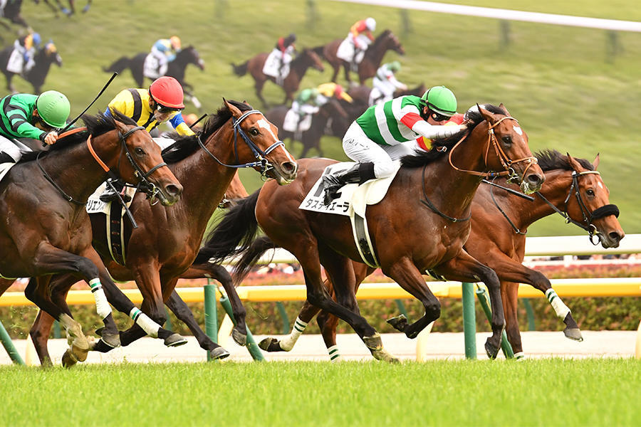 菊花賞 みどころ】皐月賞馬とダービー馬 見応え抜群な23年ぶりの激突